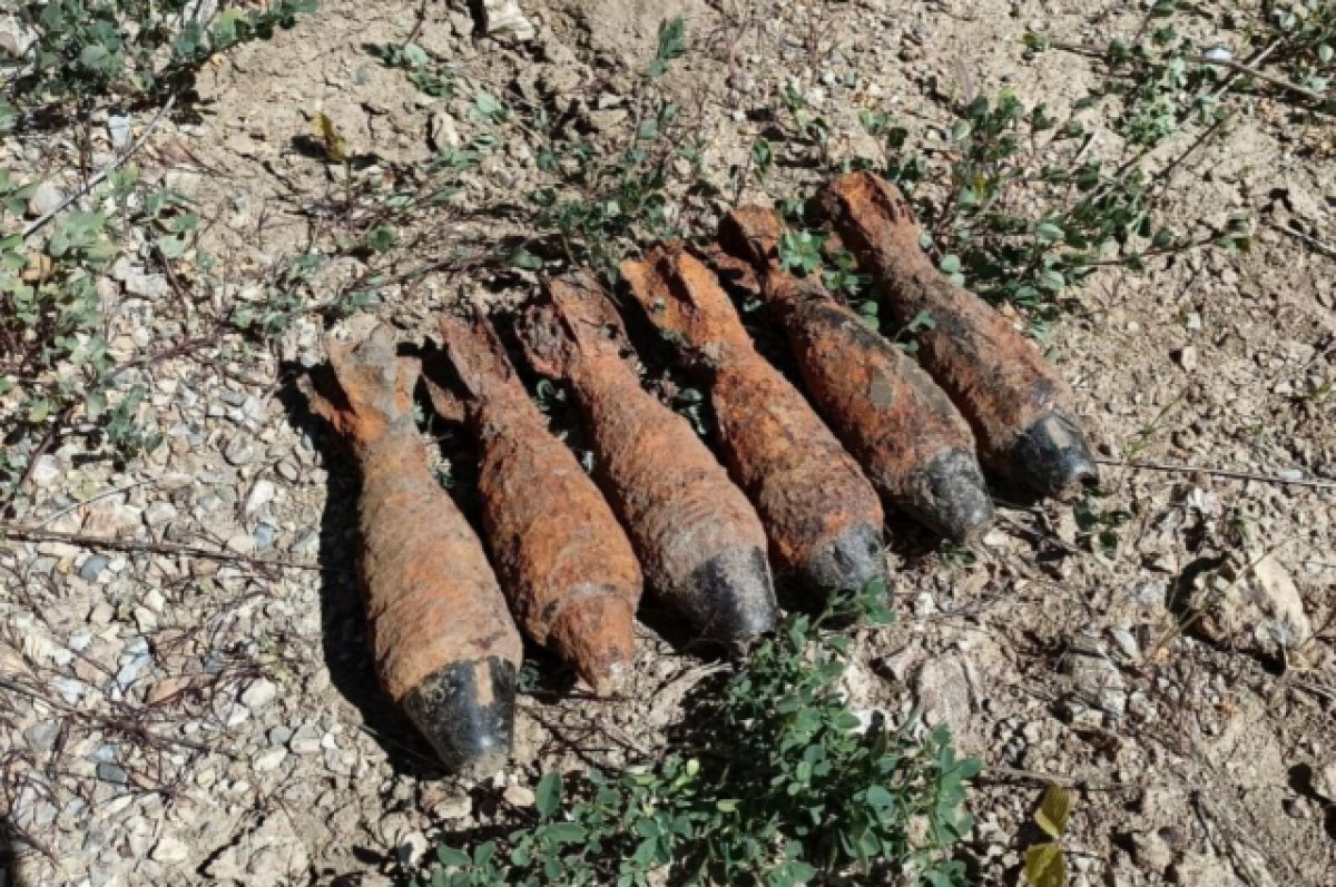    На Кубани уничтожили почти 20 снарядов времен Великой Отечественной войны