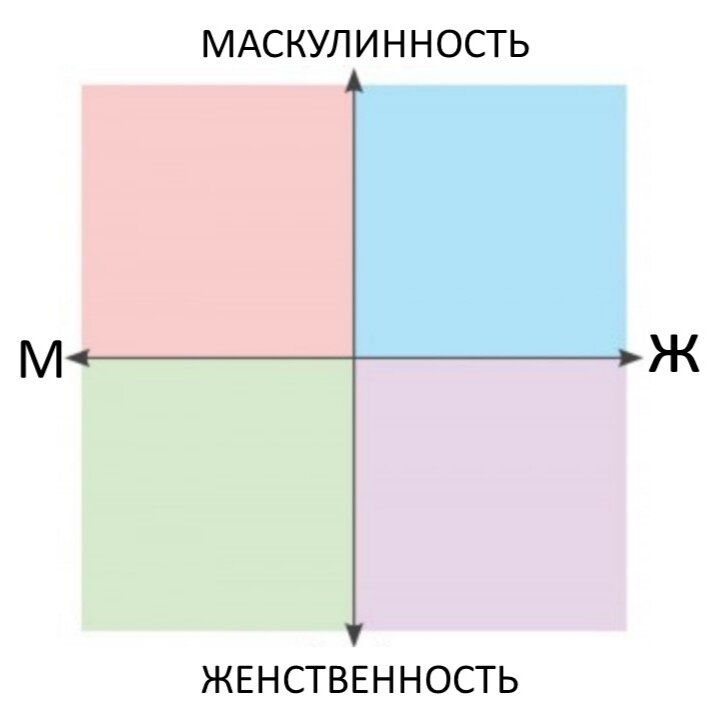 Система координат промежуточных половых форм
