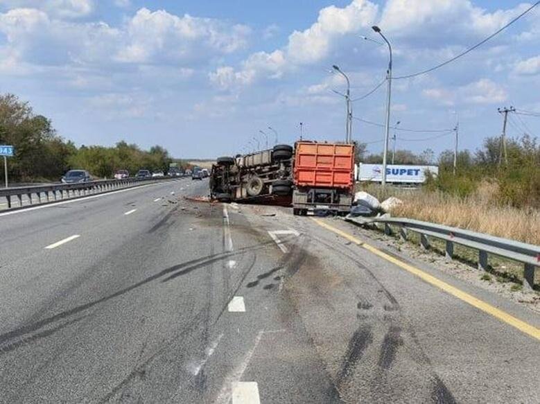 Подсолнух на трассе м4 Дон