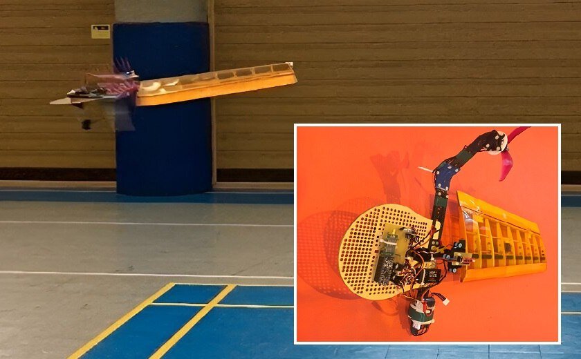    В Иране раскрыли потенциал эффективности однокрылых летающих роботов