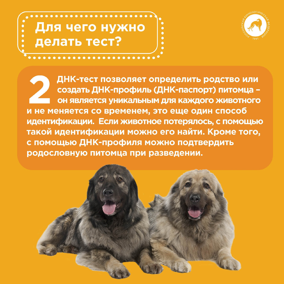 Генетические тесты для собак | Российская кинологическая федерация | Дзен