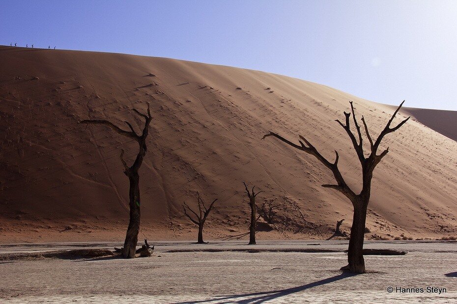 Посмотрите какая четкая линия. ПАВИЛЬОН !!! ПОДДЕЛКА !!! КУБРИК !!!