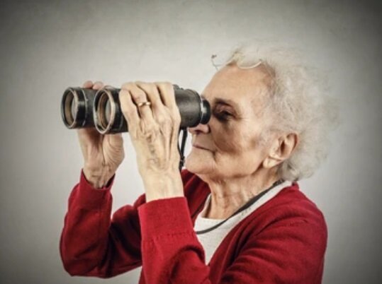 фото - shutterstock