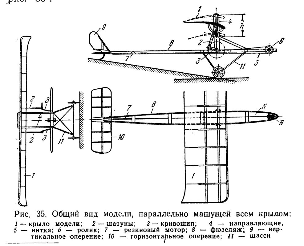 Общий вид модели, параллельно машущей всем крылом
