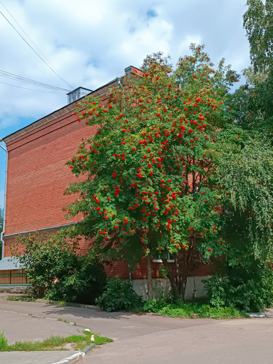Площадь 2 революций коломна