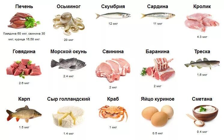 Продукты с витамином B12