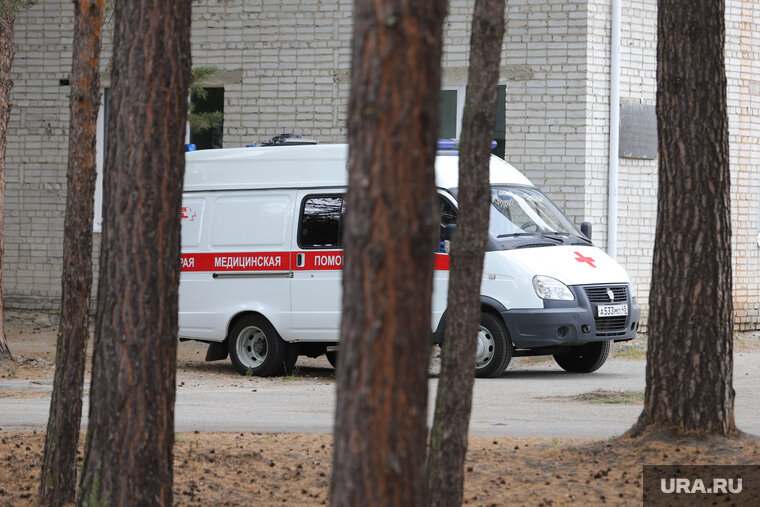    Девочка, пострадавшая от укусов лайки, проходит лечение в поликлинике в Аксарке