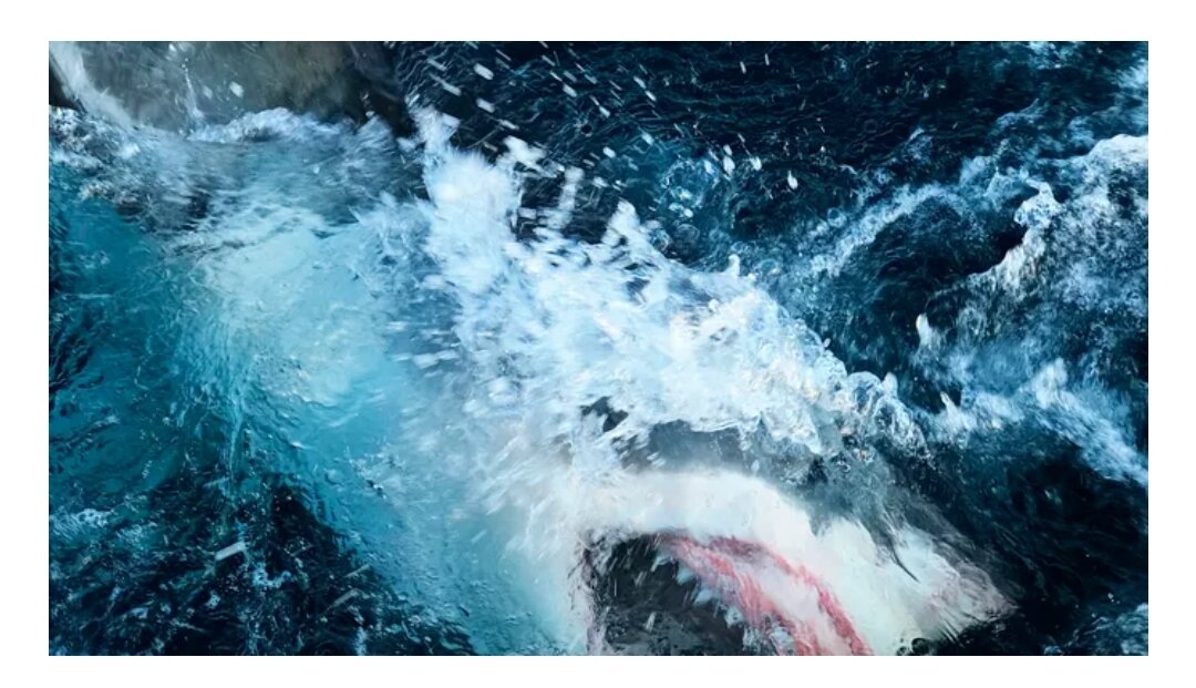 На этом изображении, опубликованном каналом Discovery Channel, изображена акула, прорывающаяся сквозь воду в сцене из фильма «Shark Lockdown». (Канал Discovery через точку доступа/файл)