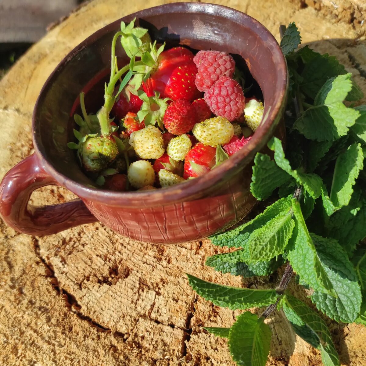 Мята прекрасно сочетается с ягодами