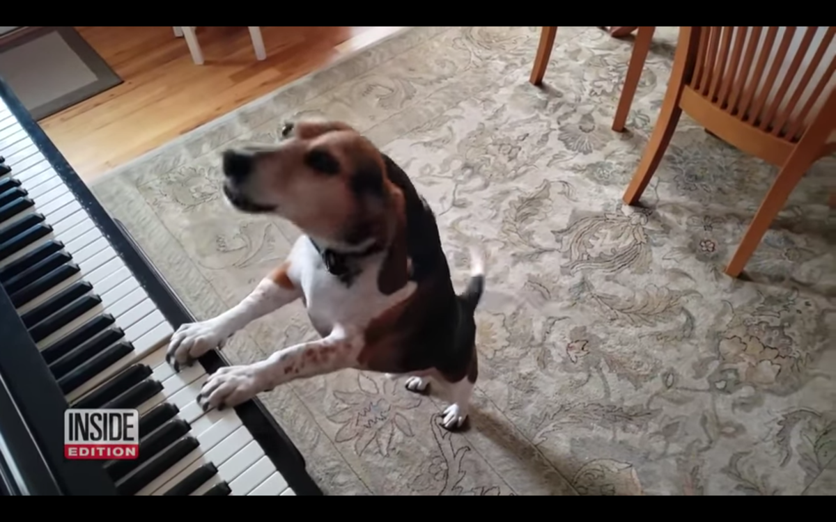 Кадр видео youtube.com/ Inside Edition