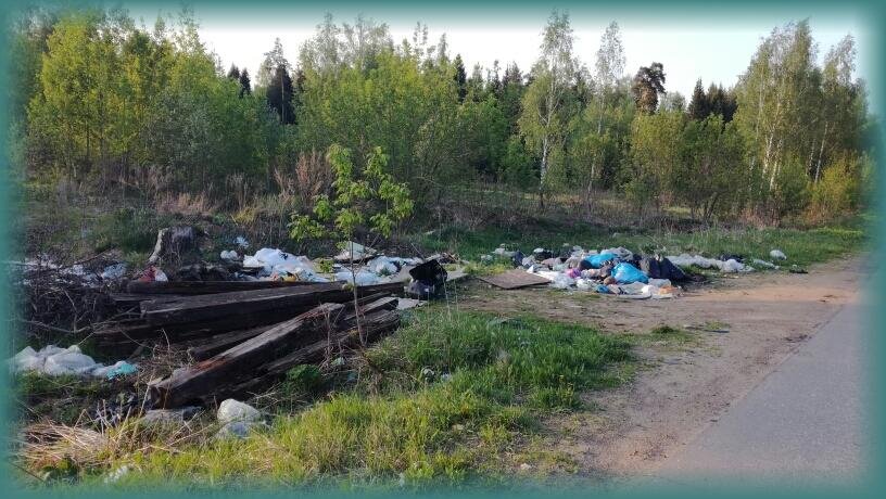 Чего здесь только не было, начиная от картошки и кончая шпалами