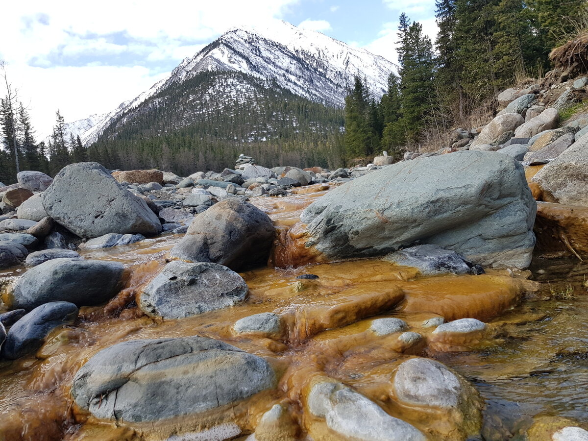 Шумак фото в хорошем качестве