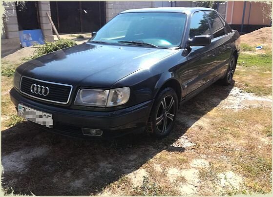 фото взято из интернета