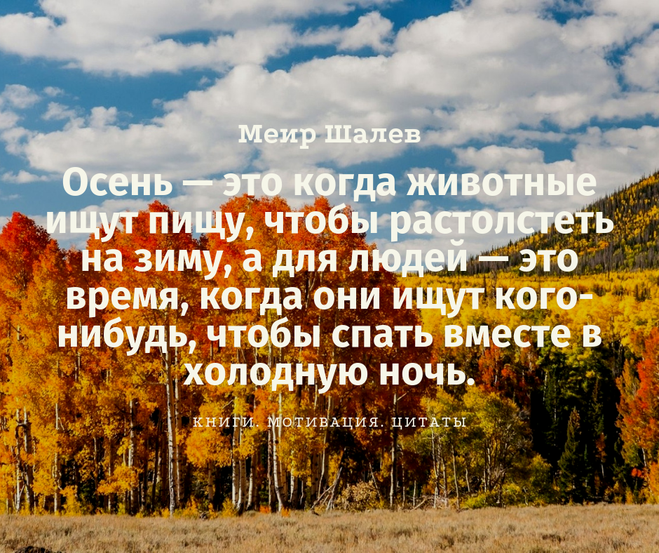 Осень выражения. Крылатые выражения про осень. Интересные цитаты про осень. Интересные статусы про осень. Осень близко цитаты.