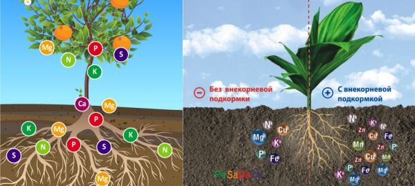 Повышение устойчивости к стрессовым факторам
