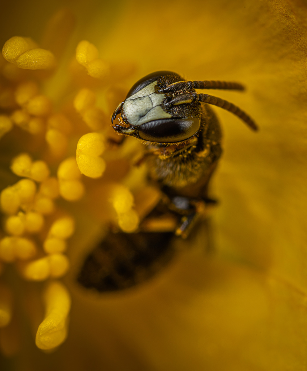 Фото Егора Камелева из Pexels