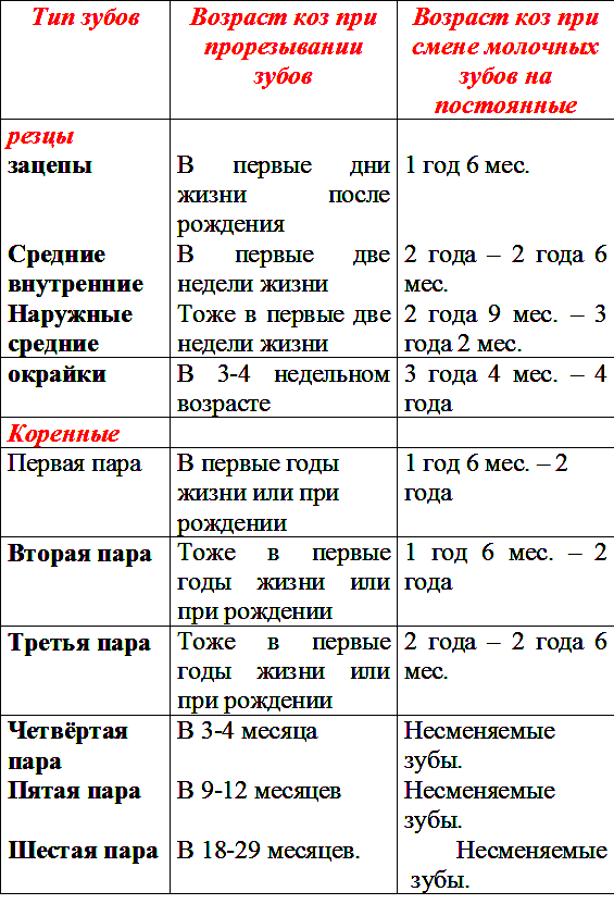 Как определить возраст козы по рогам фото