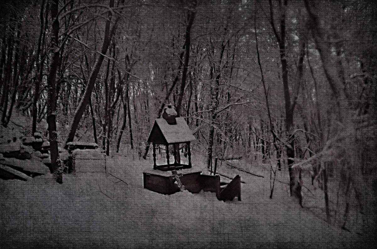 Фото авторское, святой источник за Коммуной.