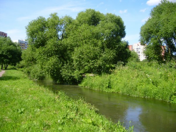 Дудергофка, она же речка Лига