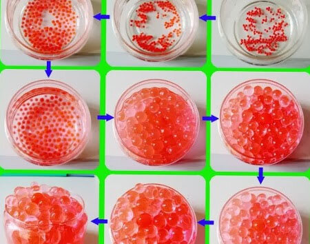 Все изображения взяты из общего доступа в качестве иллюстрации