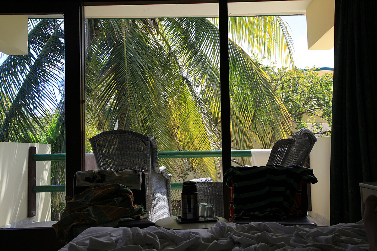 вид из номера