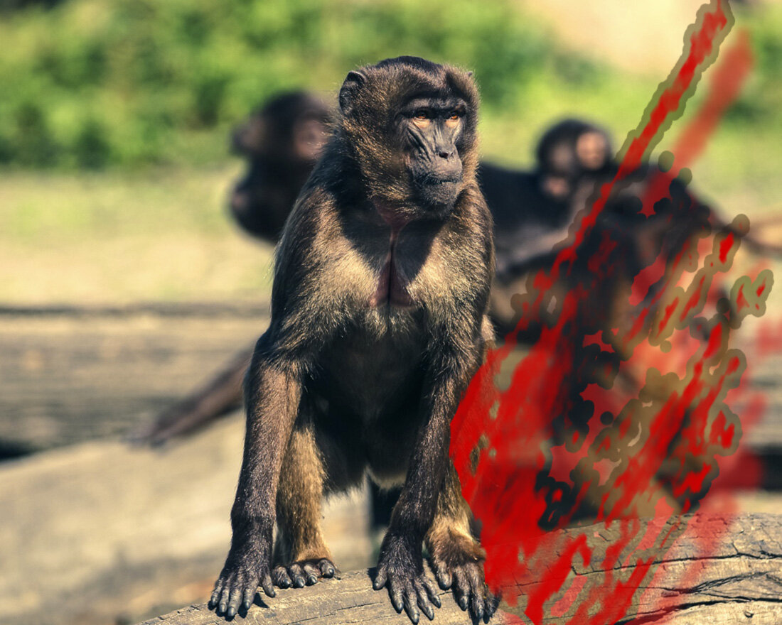 1. Image by seth0s from Pixabay 