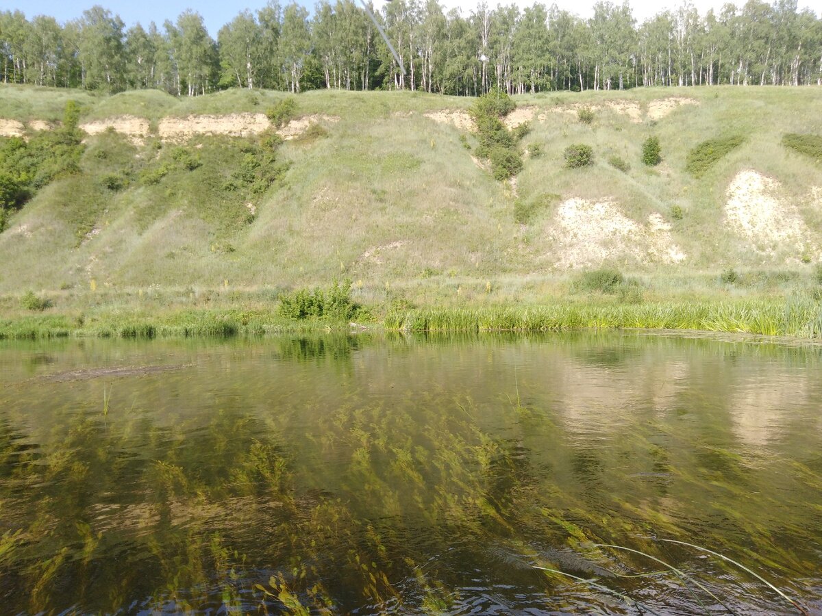 Орловская область осадки. Одинок река Зуша. Зуша река Орловская область большое Лыково. Река одинок Орловская область. Новосильский район берег реки Зуши.