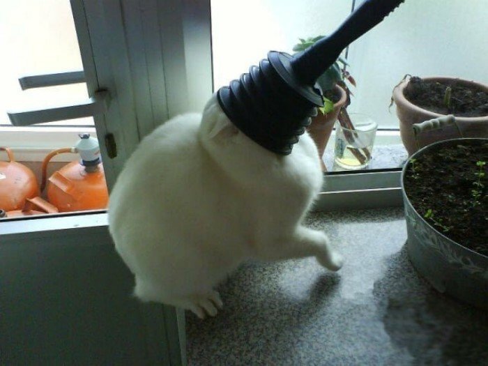 Есть черная дыра, а это черный тупик (истоник https://img.novosti-n.org/upload/ukraine/504472.jpg)