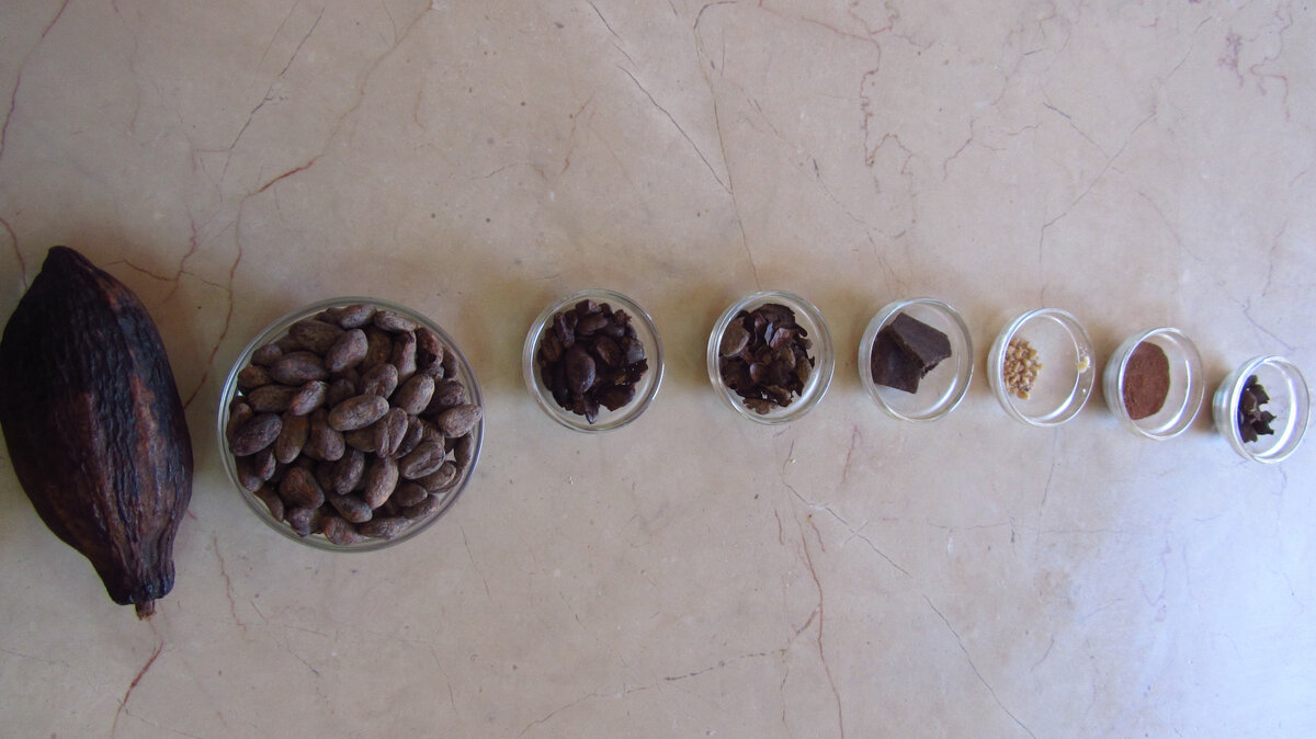 Какао-бобы на разных стадиях обработки