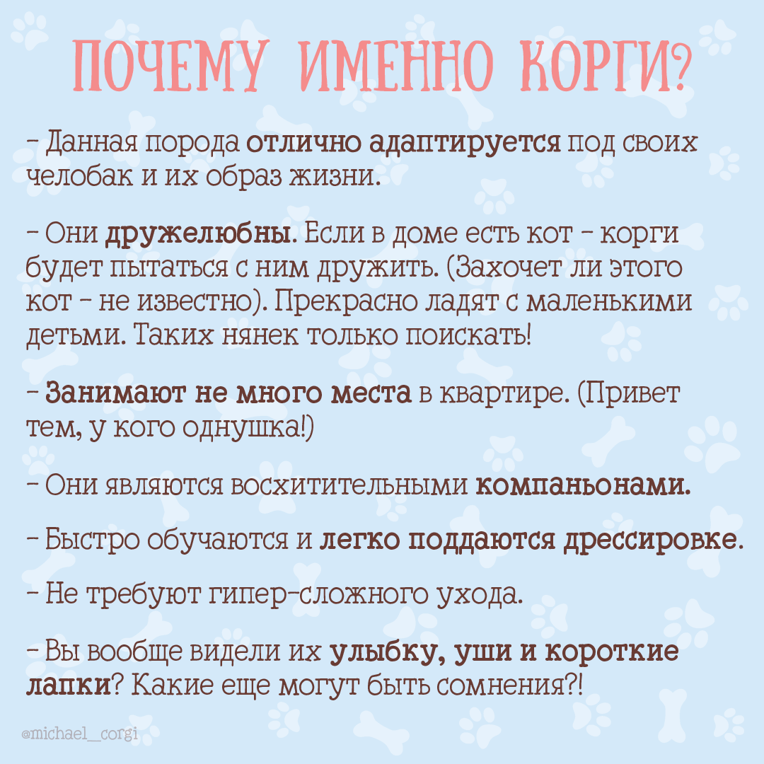Почему именно корги?