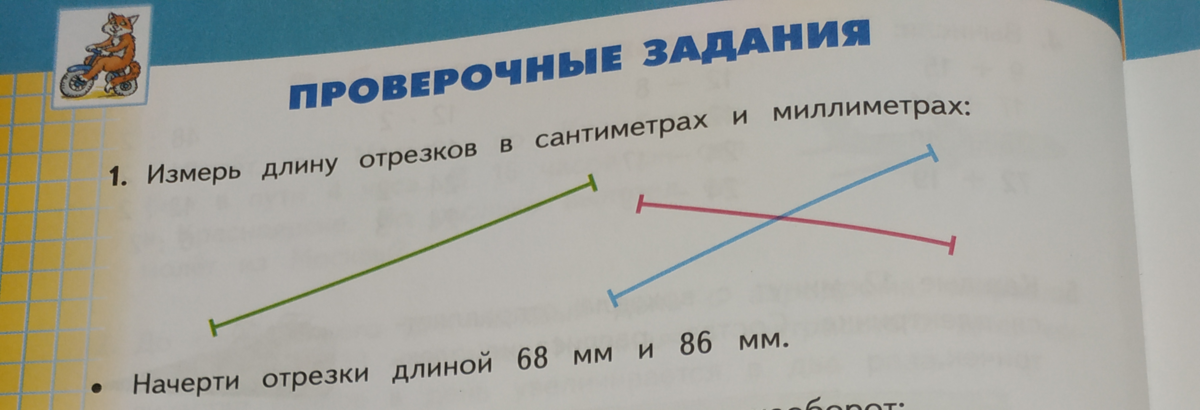 Отрезки в сантиметрах и миллиметрах