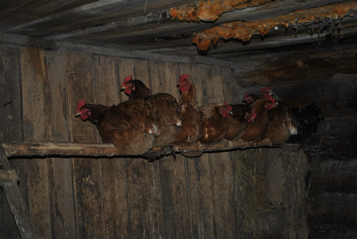 Личные фото