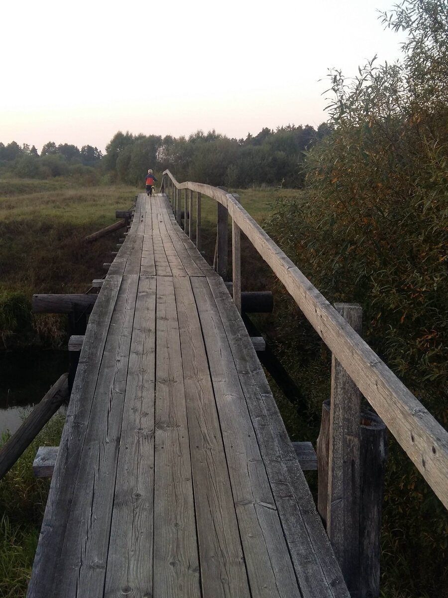 Дорога в лес.