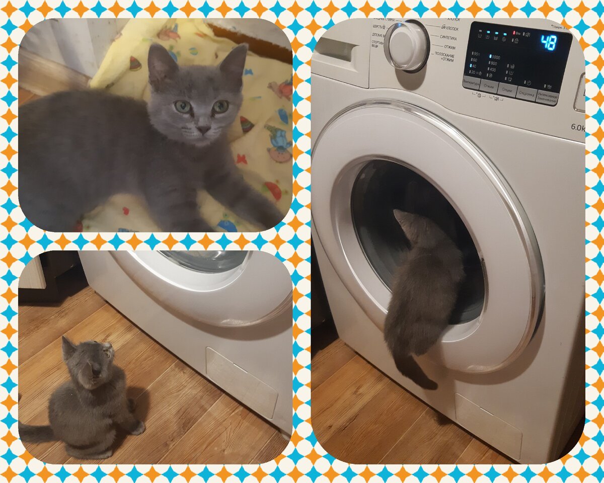 Фото из личного архива 