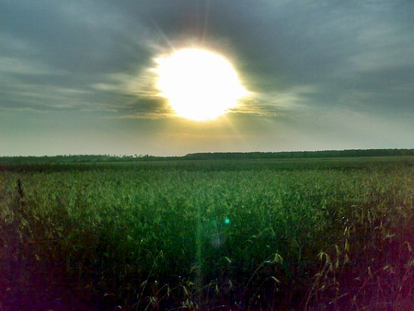 Личное фото