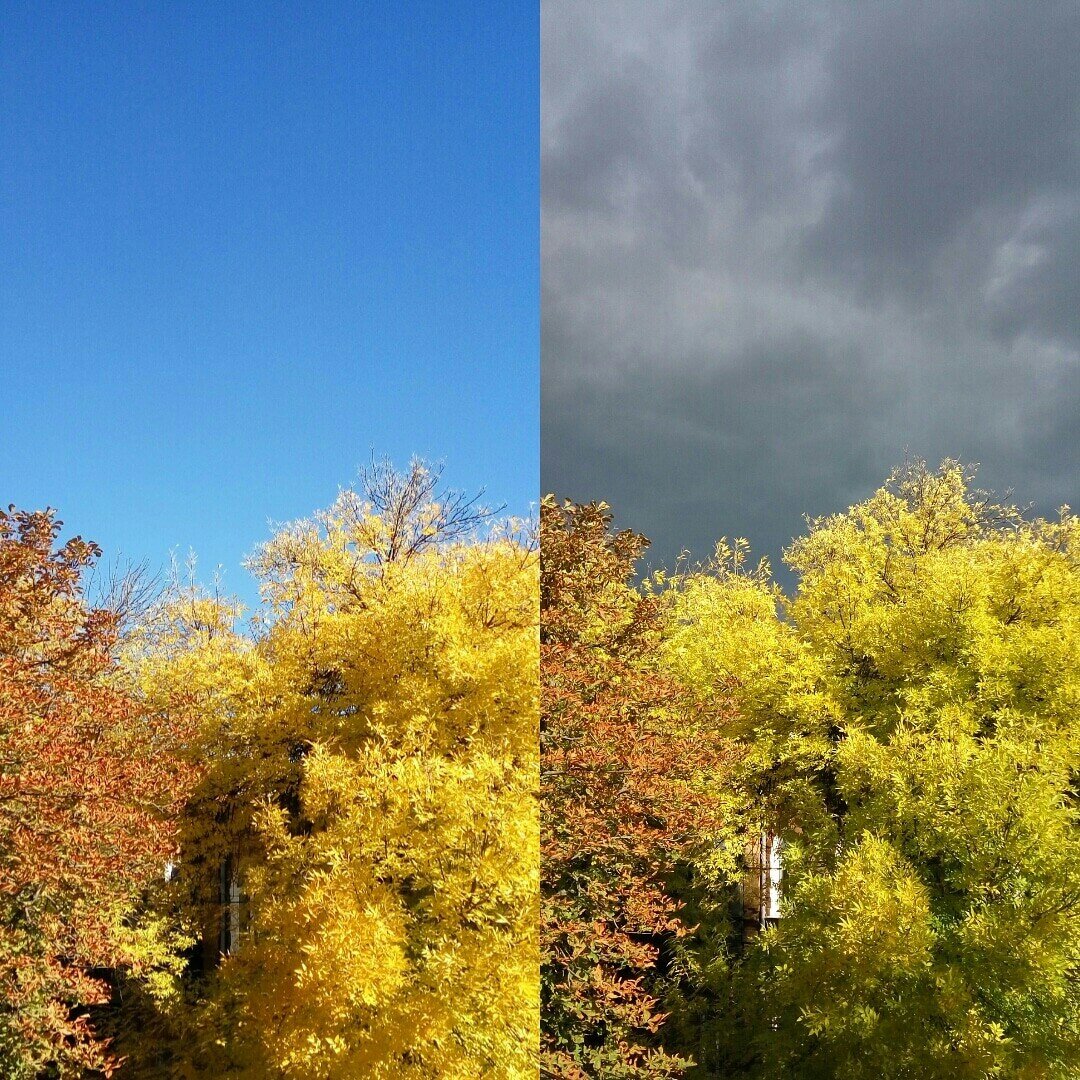 Фото: Пикабу