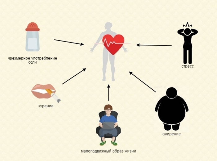 источник изображения: http://med-citi.ru