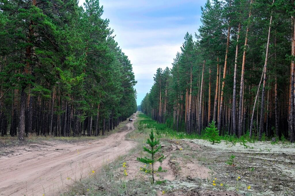 Алтайский край далеко