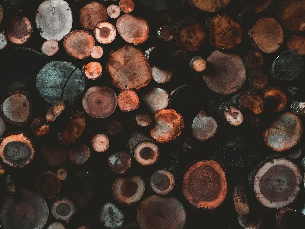 Источник фото: unsplash.com