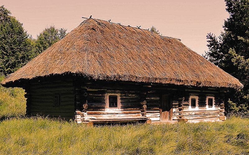 Фото взято из свободных источников.