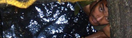 наверное с этим никто не станет спорить