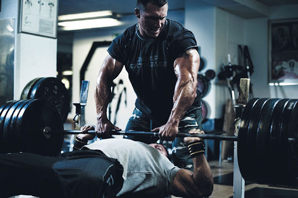 Источник: Открытый доступ