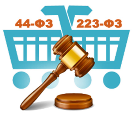 "44-ФЗ  сравним с энциклопедией... А вот 223-ФЗ представим в виде журнала"