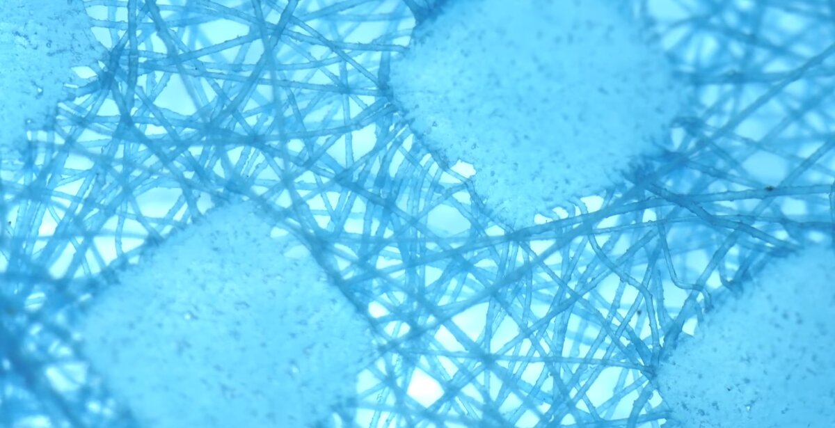 Волокна маски под микроскопом