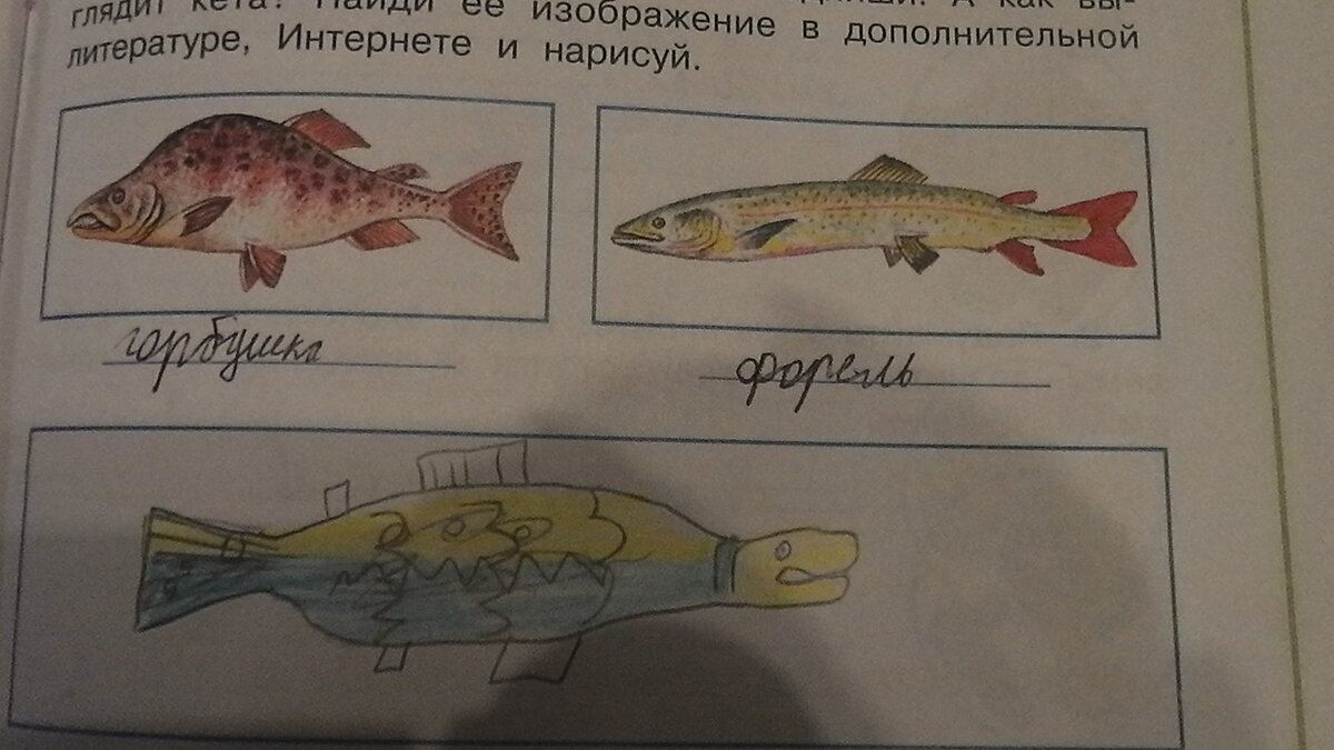 Это кета. Похожа?