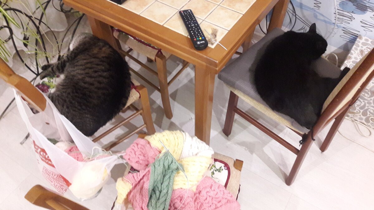 Все заняли)))