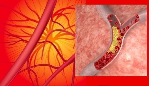 фото с сервиса Яндекс картинки