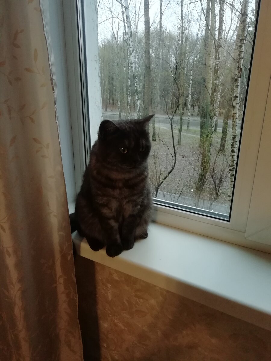 Главный ученик готов к учёбе🤣