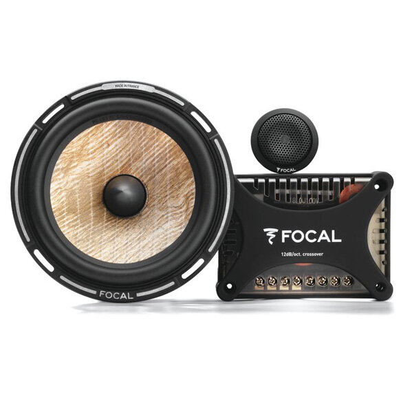 источник фото: https://www.focal.com/ru/ps-165fx