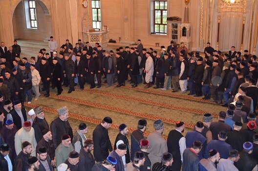 Фотография доступна для просмотра.